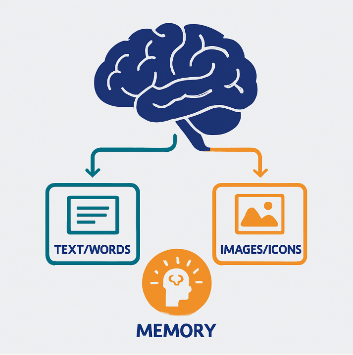 The Dual Coding Theory: Why “Learning Styles” Miss the Point (and What Actually Works) 2 dual coding theory